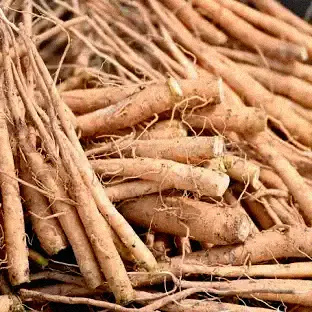 Ashwagandha