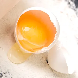Telur