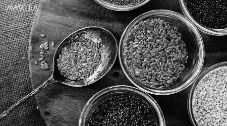 Kandungan Meal Replacement: Apa yang Harus Lo Perhatiin Sebelum Beli?