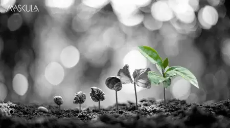 Mindset Growth Vs. Fixed: Cara Pandang yang Bisa Ubah Masa Depan Lo